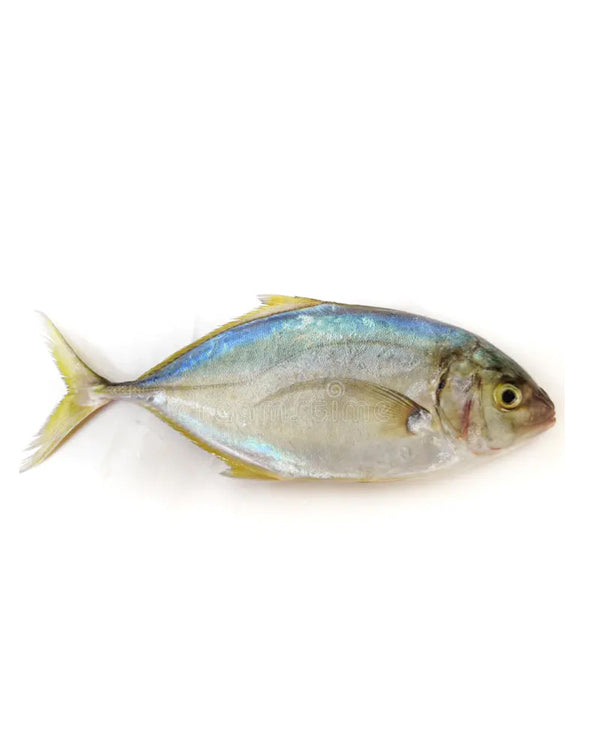 BAYAAD
