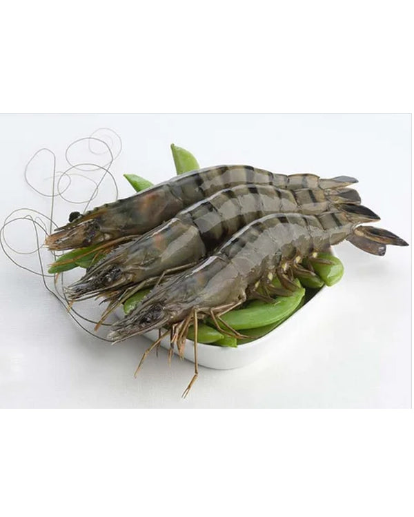 BLACK TIGER SHRIMPS SIZRE RANGE: 10/20